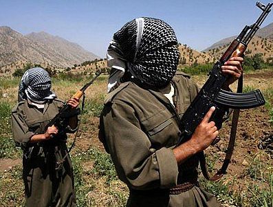 Hakkari'de iki terörist etkisiz hale getirildi