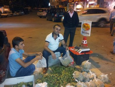 Kürtün Fındığı Piyasaya Çıktı