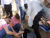 Muş`ta Kaza: 2 Yaralı