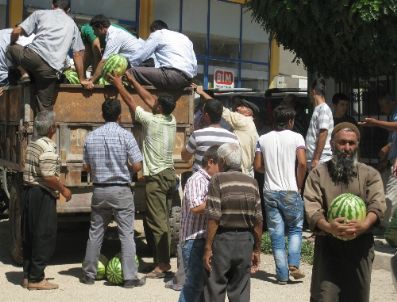 Tanesi 1 Tl`den Satılan Araban Karpuzu`na İlgi Büyük