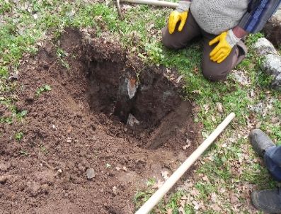 Anne Karnındaki 6 Aylık Bebekleri Öldürüp, Pizza Kutularında Gömmüşler