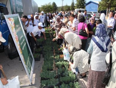 Belediye, Kabir Ziyaretine Gelenlere Çiçek Dağıttı