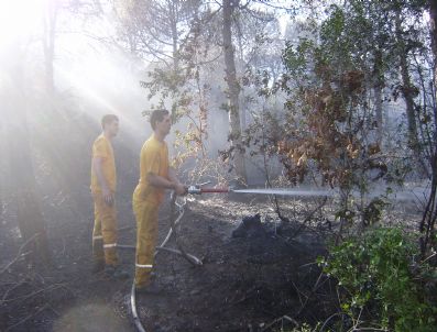 Çekmeköy`de Orman Yangını