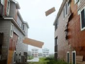 Irene, Obama'yı kurtarabilir mi?