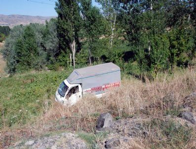 Kamyonet Sebze Bahçesine Devrildi: 3 Yaralı