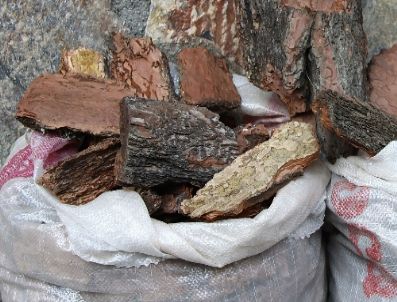 Orman Dışı Ürünler Anadolu Üniversitesi’nde Analiz Edilecek