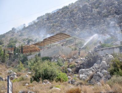 50 Hektarlık Alan Yangında Zarar Gördü