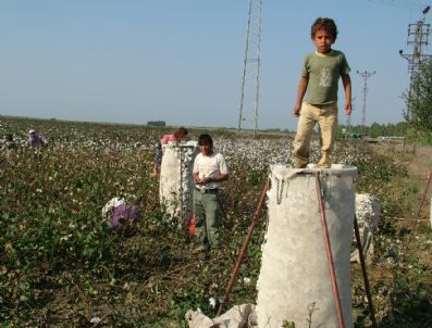 ÇUKOBIRLIK - Çukobirlik Yeni Sezona Hazır
