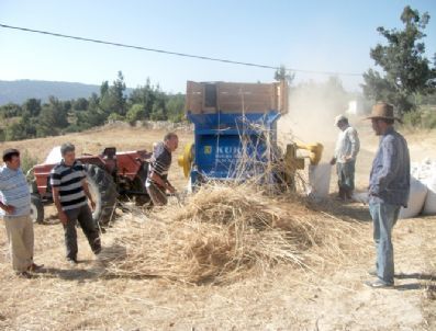 Gülnar`da Buğday Hasadı Başladı