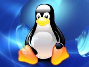 Linux kampına davetiyeniz var!