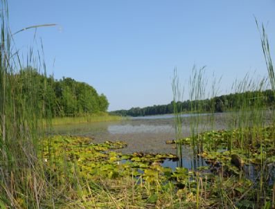 İĞNEADA - Longoz Ormanları Doğa Severleri Bekliyor