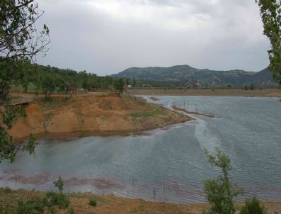 Simav’daki Üç Gölete 1500 Aynalı Sazan Bırakıldı