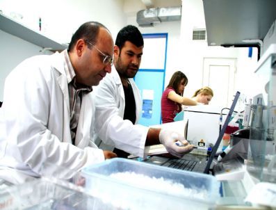 Zeytin Sineğiyle Mücadele Başladı