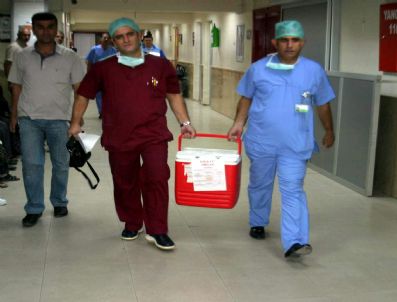 64 Yaşındaki Kadın Karaciğeriyle Bir Çocuğa Hayat Verdi