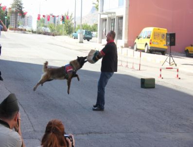 ABDURRAHMAN SAVAŞ - Nevşehir`de Zafer Bayramı Coşku İle Kutlandı