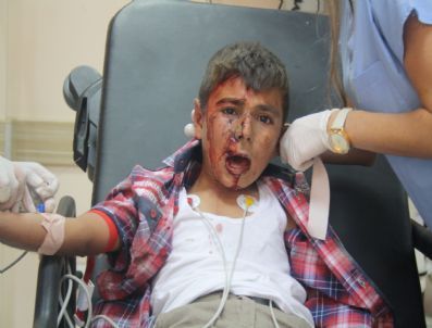 Atın Nallarının Altında Kaldı