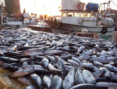 Balıkçıların ''Vira Bismillah'' heyecanı