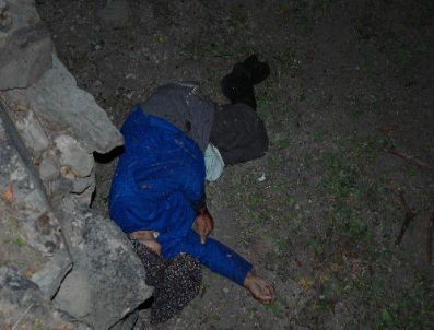 Erzurum`da Ayı Saldırısında 2 Kişi Öldü