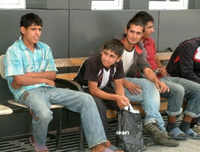 Fındık İşçileri Yedikleri Tavuktan Zehirlendi