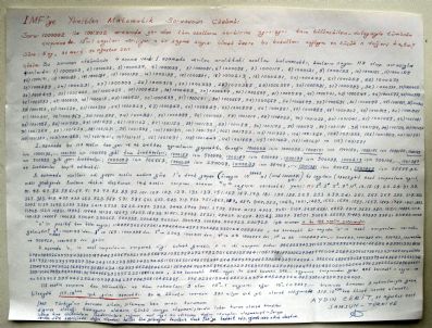 İmf, Türk Matematikçinin Sorusuna Cevap Veremedi