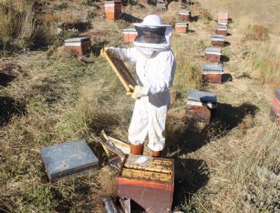 (özel Haber) Kadının Fendi, Korkuyu Yendi