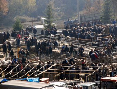 Şap Salgını Nedeni İle Taşköprü Hayvan Pazarı 1 Ay Süreyle Kapatıldı