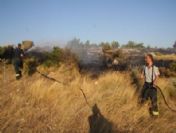 Seferihisar'da Yangın