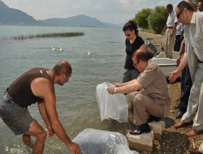 Yüzbin Yavru Balık Gölle Buluştu