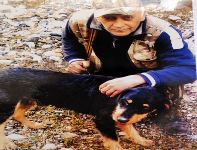 Köpeğini Bulana Av Tüfeği Hediye Edecek