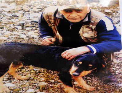 Köpeğini Bulana Av Tüfeği Hediye Edecek