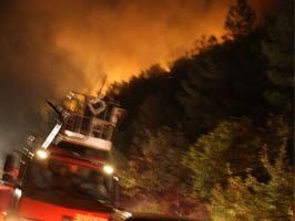 ŞEKERPıNAR - Orman Yangını Kontrol Altına Alındı