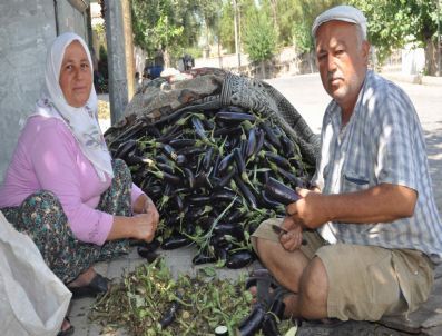 Patlıcanlı Hayatlar