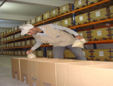 İBRAHIM ÇIÇEK - Somalili Çocukların Gıda Paketlerini Avrupalı Gençler Hazırlıyor (özel)