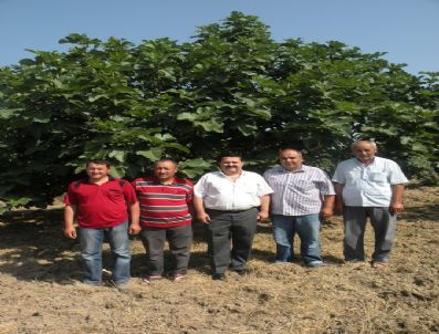 Bursa Siyah İnciri Bayramdan Sonra Sofralarda