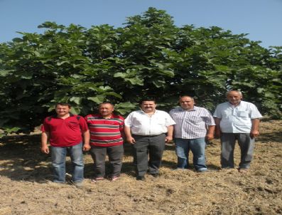 Bursa Siyah İnciri Bayramdan Sonra Sofralarda