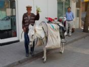 35 Yıldır Eşek Sırtında Salatalık Satıyor