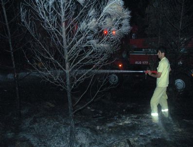 Denizli`de Orman Yangını