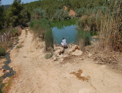 Bodrumda Çevre Kirliliği