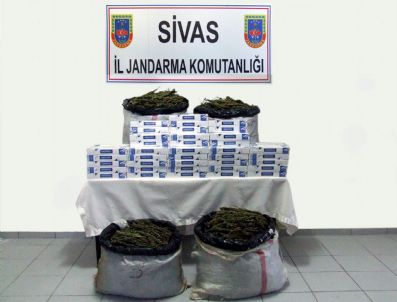 Sivas`ta 53 Kilo Esrar Ele Geçirildi