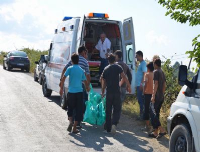 BELÖREN - Yaşlı Kadın Ormanda Ölü Bulundu