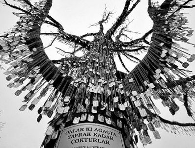 Anıt ağaca 50 şehit daha çakıldı