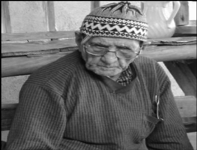 Bir Çınar Daha Devrildi