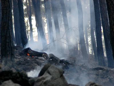 KıZıLCA - Bozyazı`da Orman Yangını