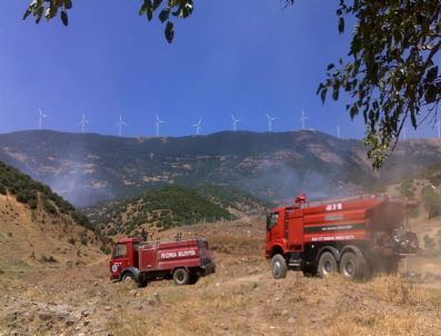 Gaziantep`te Orman Yangını