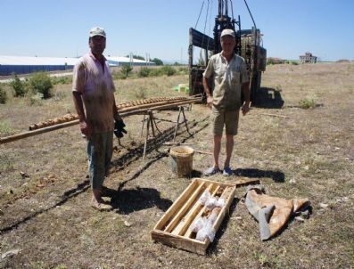 Kastamonu, Orman Ürünlerinde Sembol Olacak