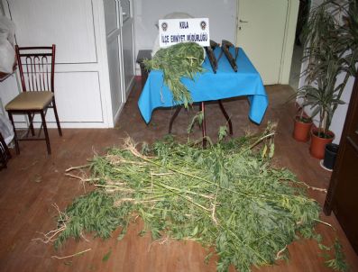 Kula`da Uyuşturucu Operasyonu