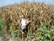 Mısır`da `fiyat` Sıkıntısı