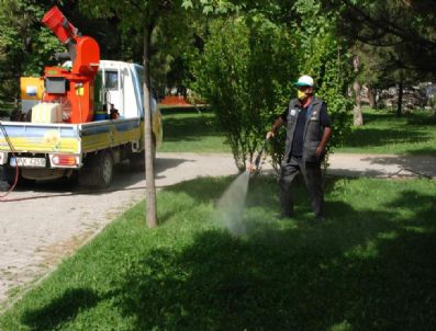 Odunpazarı Belediyesi Haşereyle Mücadeleyi Sürdürüyor