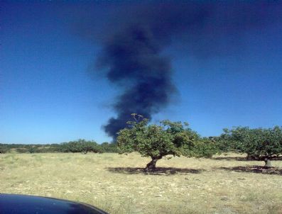 Petrol Boru Hattında Yangın Çıktı
