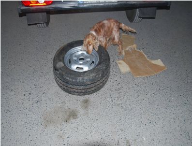 Peynir Bidonunda Uyuşturucu Kaçakçılığı